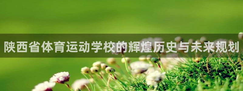千亿国际官网下载注册:陕西省体育运动学校的辉煌历史与未来规划