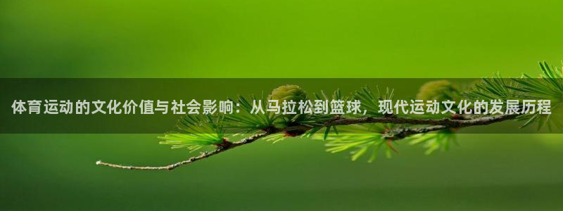 千亿国际官方正版app集团E.ON:体育运动的文化价值与社会