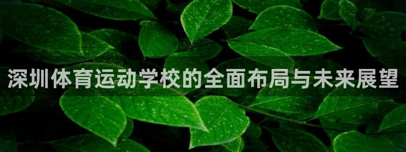 千亿国际官方正版app娱乐:深圳体育运动学校的全面布局与未来